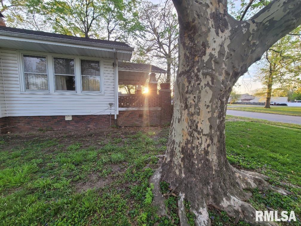 211 W Matthew Street, Sesser, Illinois image 49