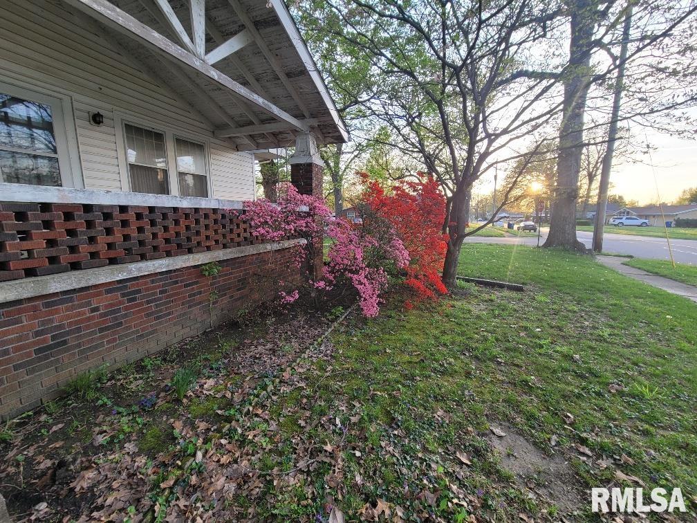 211 W Matthew Street, Sesser, Illinois image 48