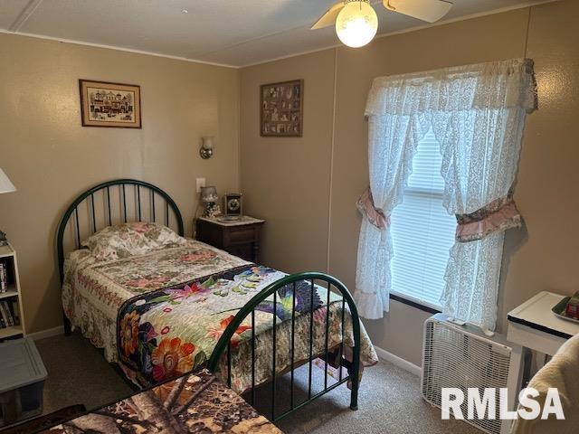 102 W Smithland Street, Murrayville, Illinois image 16