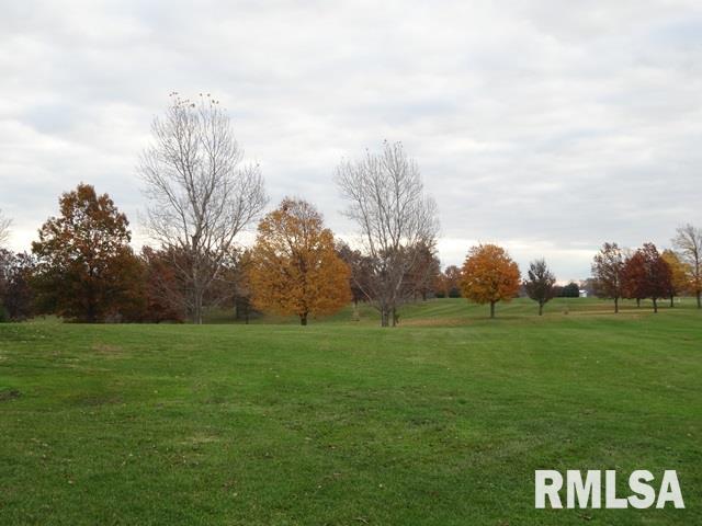 LOT 67 Hurff Drive, Elmwood, Illinois image 1