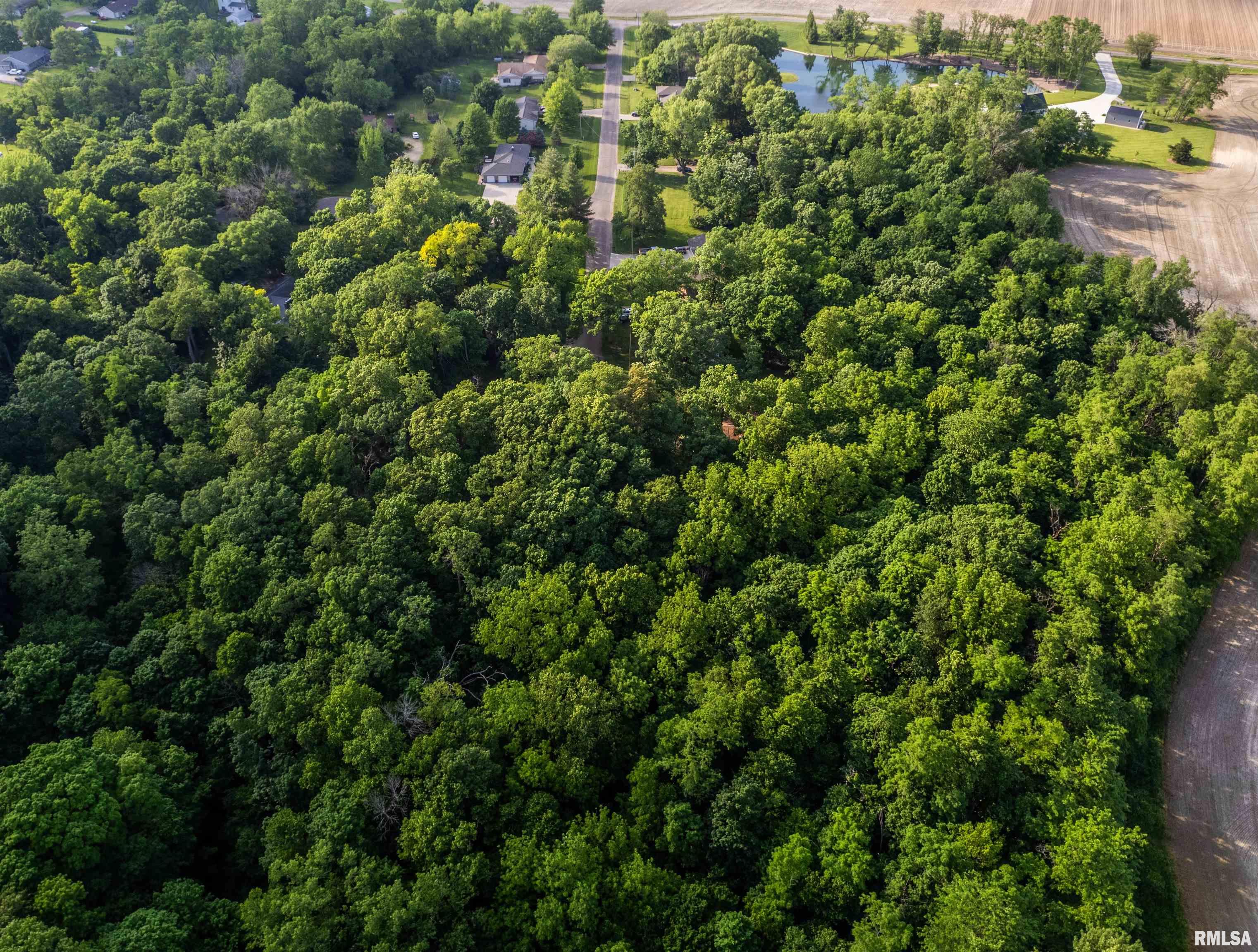 Hickory Road, Tremont, Illinois image 2