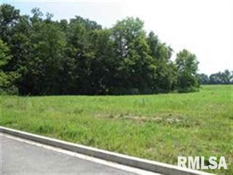 Vacant Land For Sale - 202 Helene Court<br/> East Peoria, IL 61611