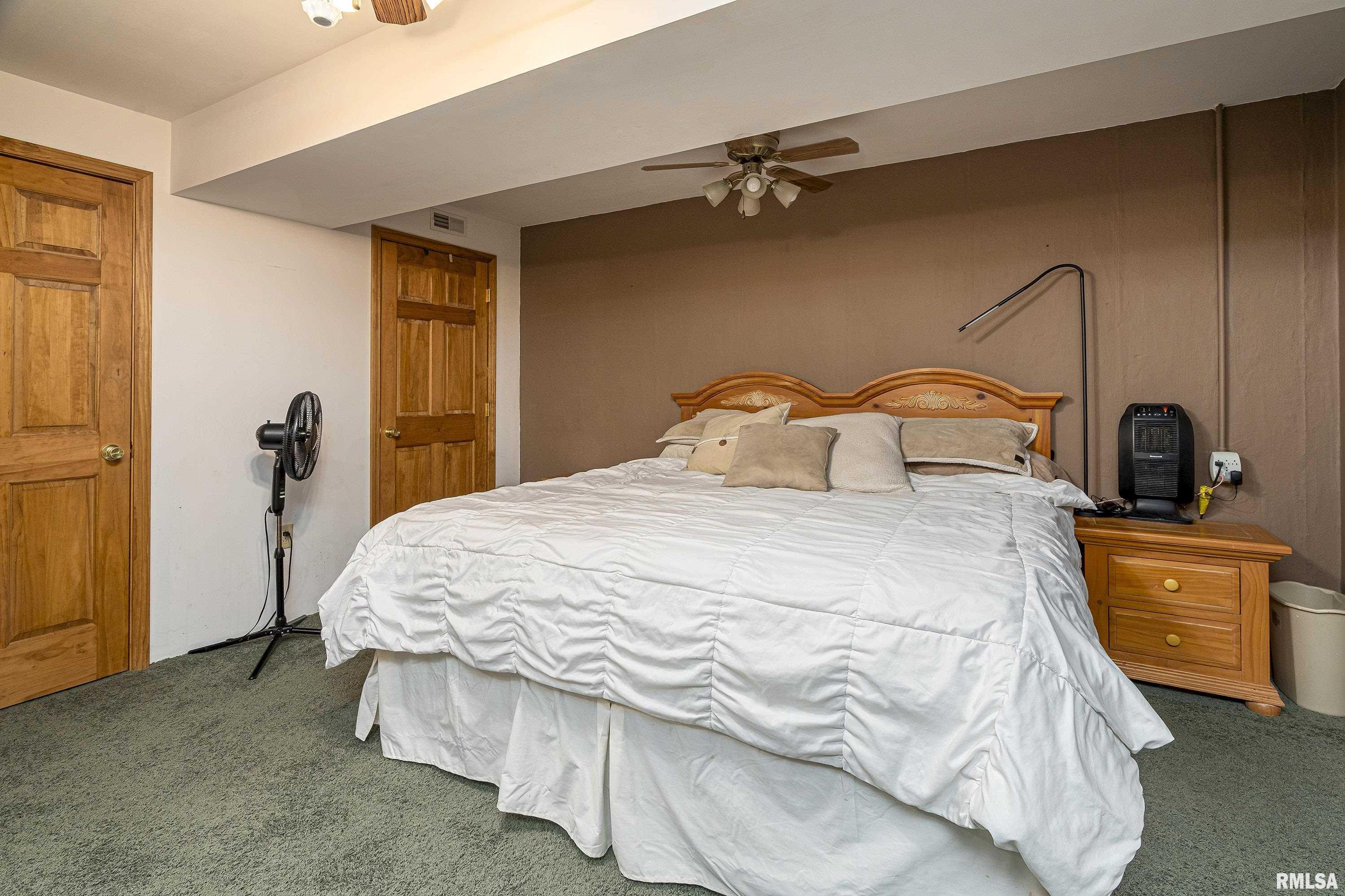 220 Timber Ridge Lane, Jonesboro, Illinois image 16
