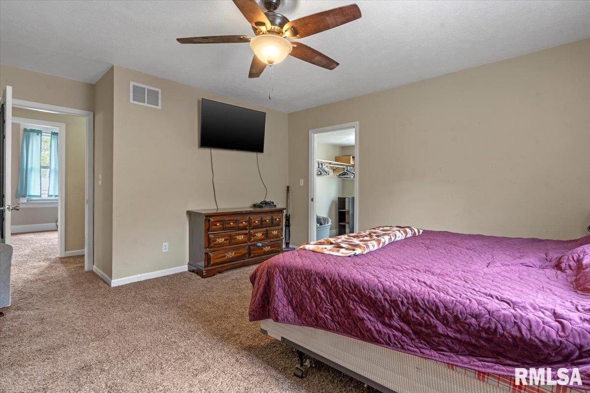 805 E Kinzie Street, Riverton, Illinois image 18