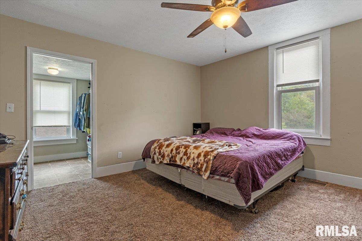 805 E Kinzie Street, Riverton, Illinois image 17
