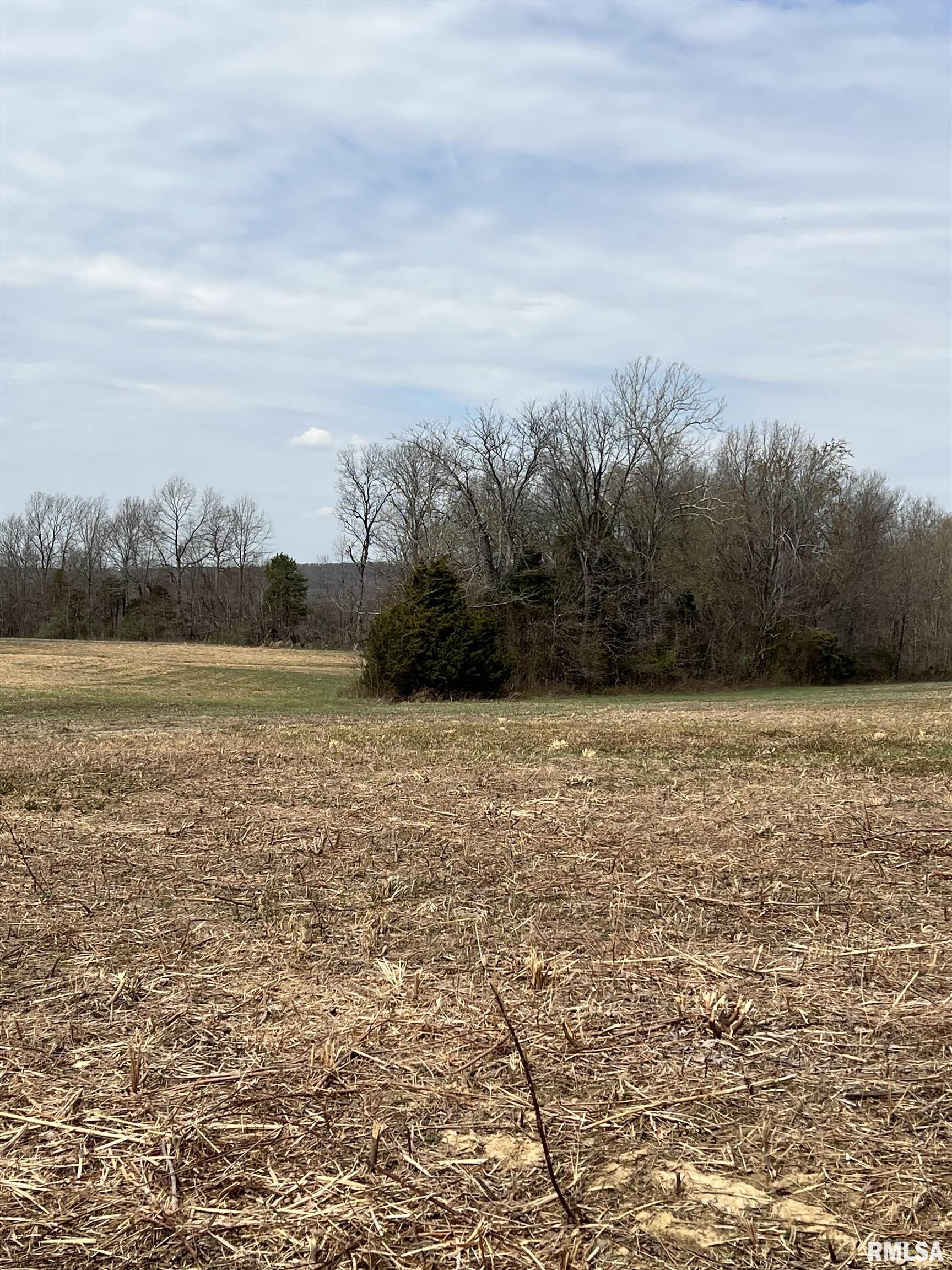 000 Bert Road, Golconda, Illinois image 5