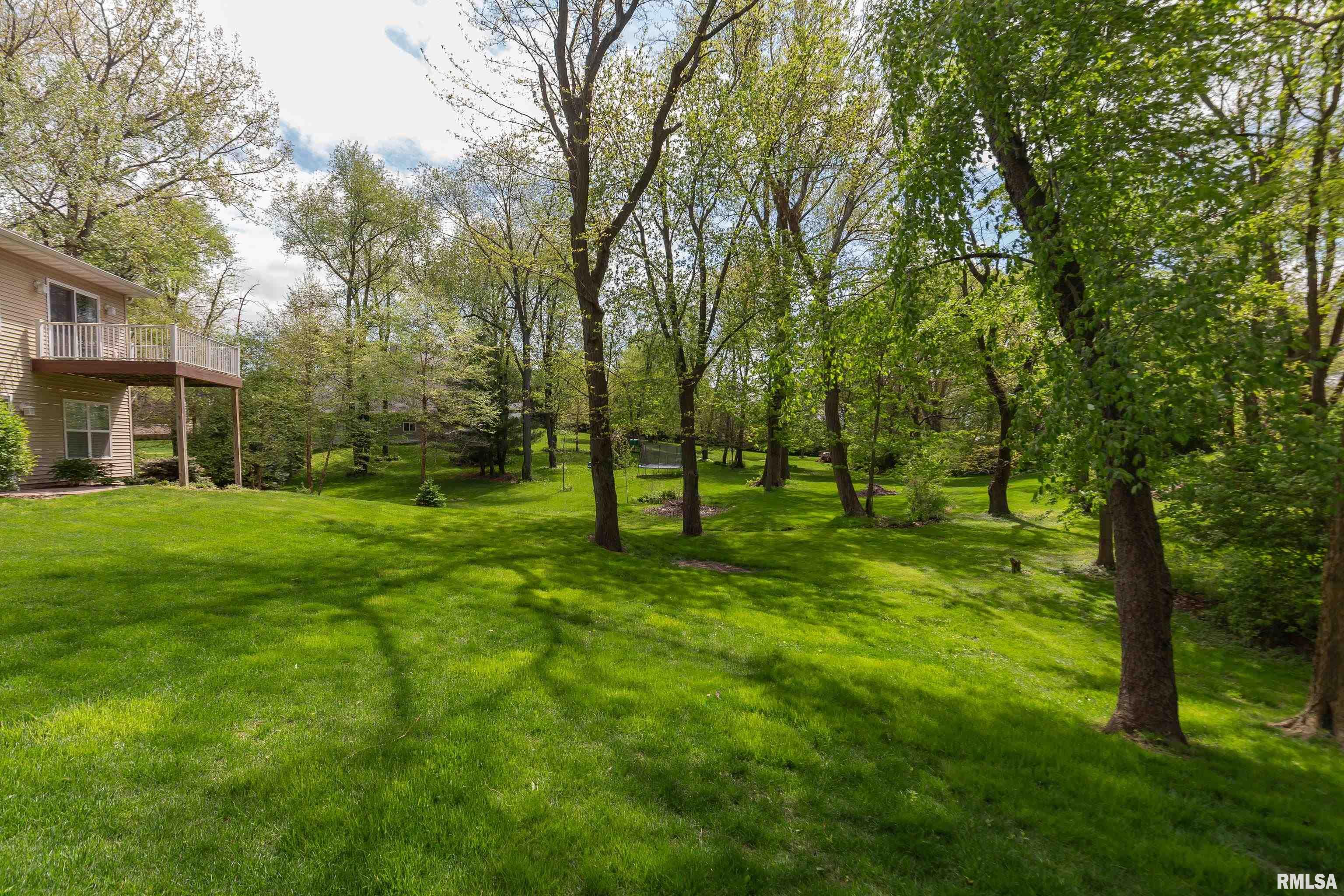 236 Meadowbrook Court, Geneseo, Illinois image 41