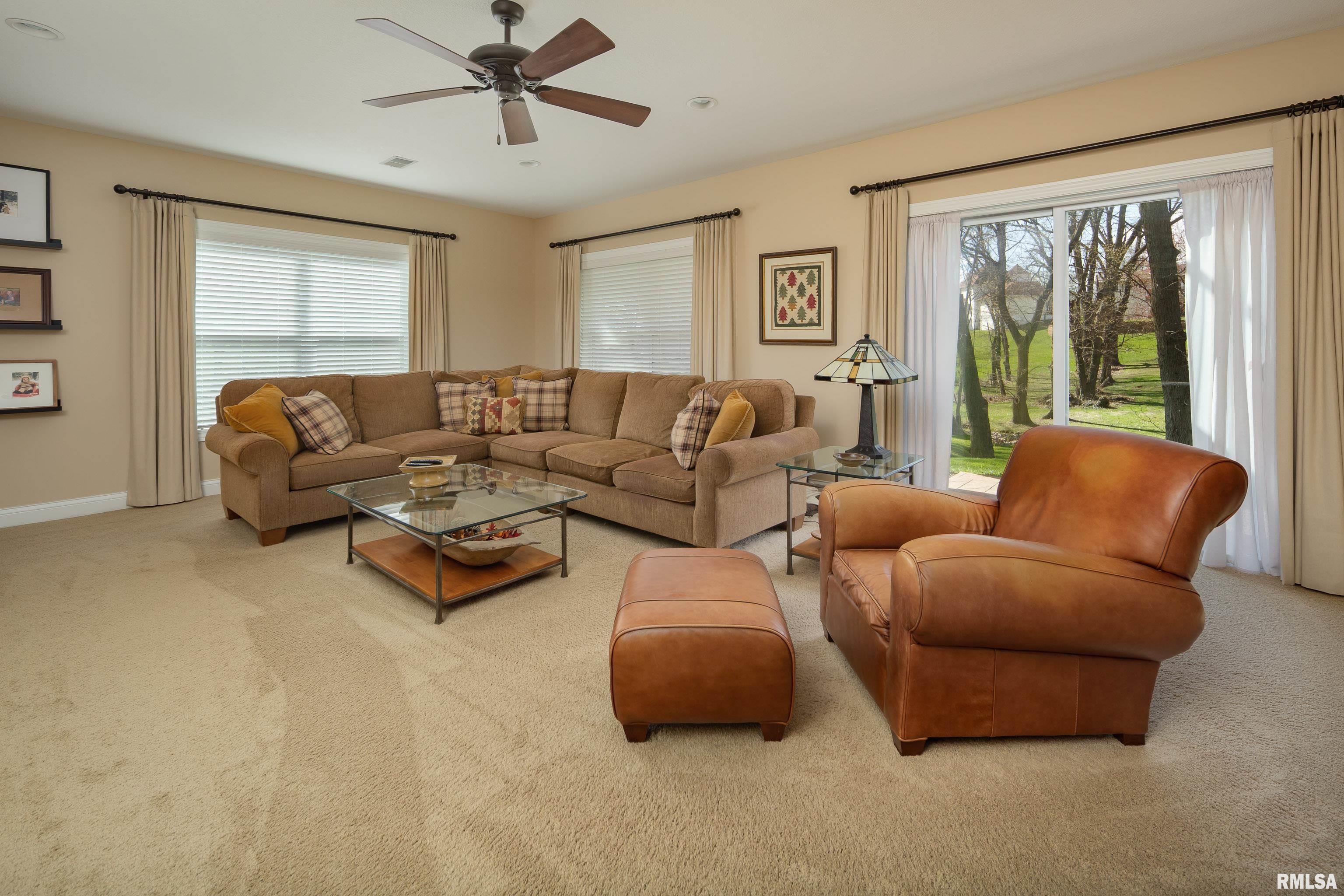 236 Meadowbrook Court, Geneseo, Illinois image 29
