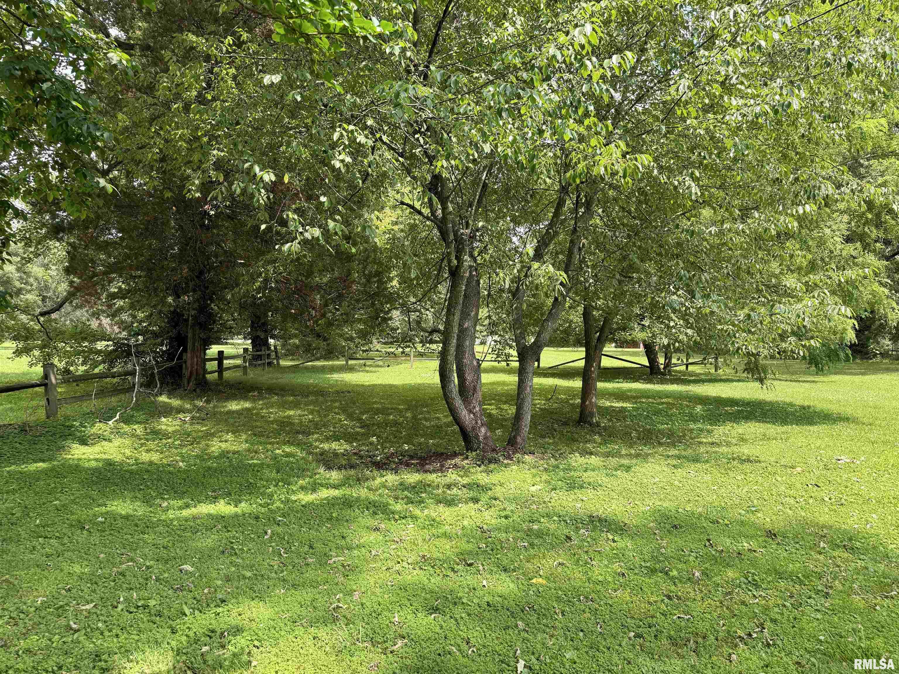 2016 Greenview Street, Metropolis, Illinois image 46