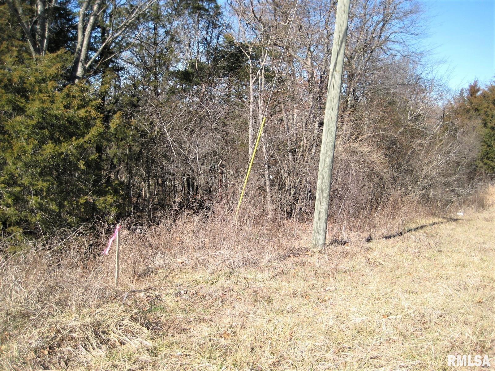 Lot 235 Eagle Point Bay Road, Goreville, Illinois image 3