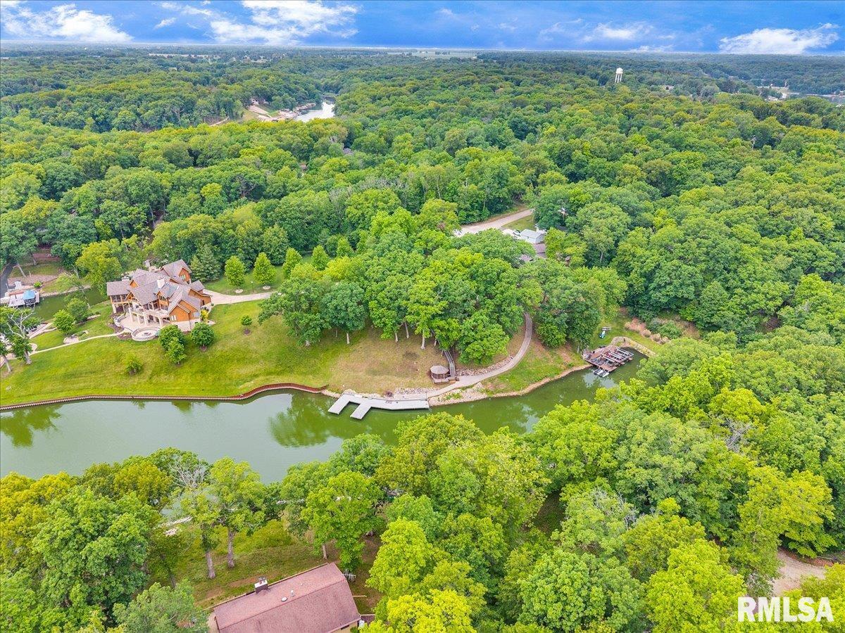 242 Greenleaf Court, Dahinda, Illinois image 48