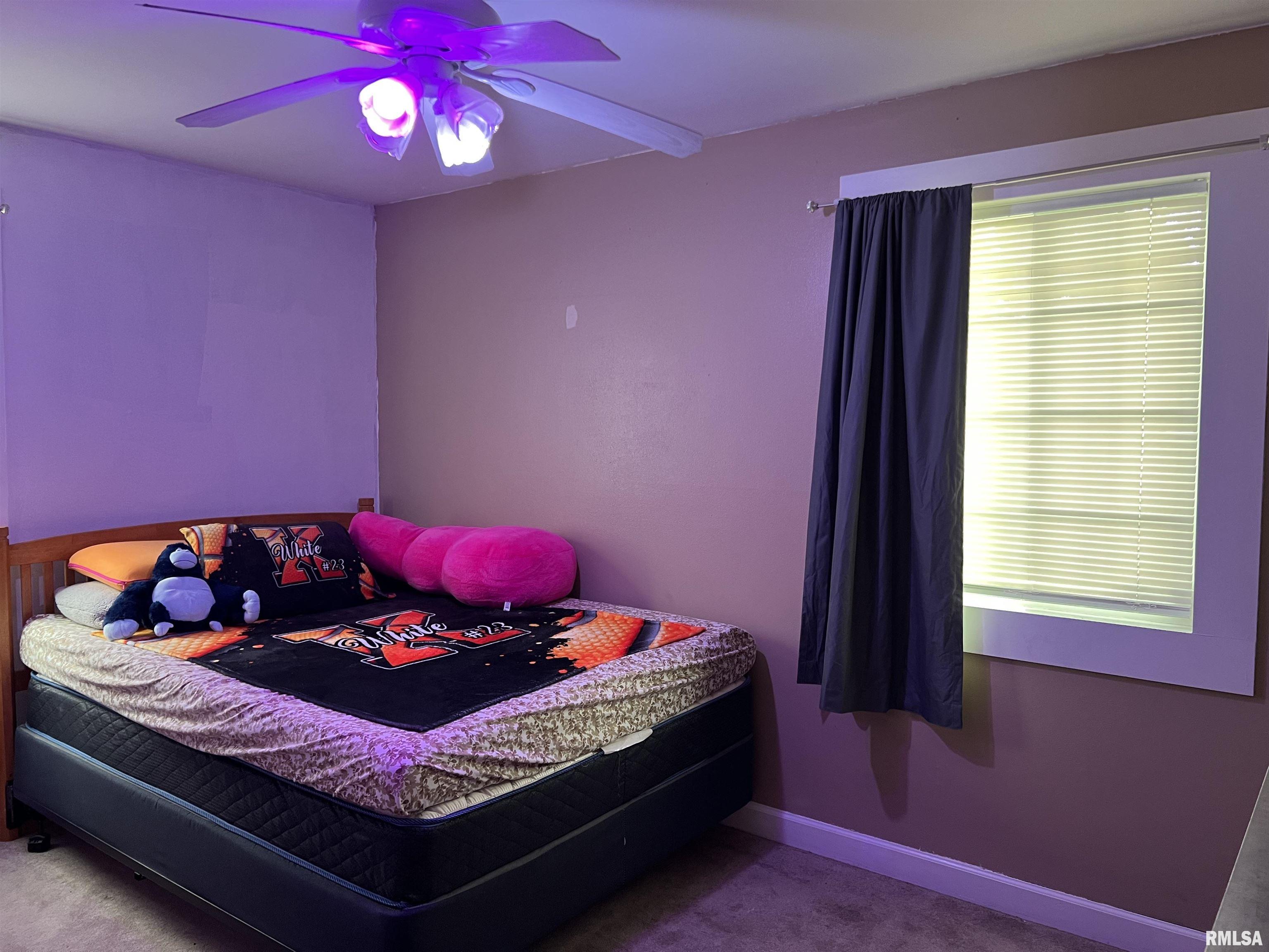 207 Mimosa Lane, Washington, Illinois image 38