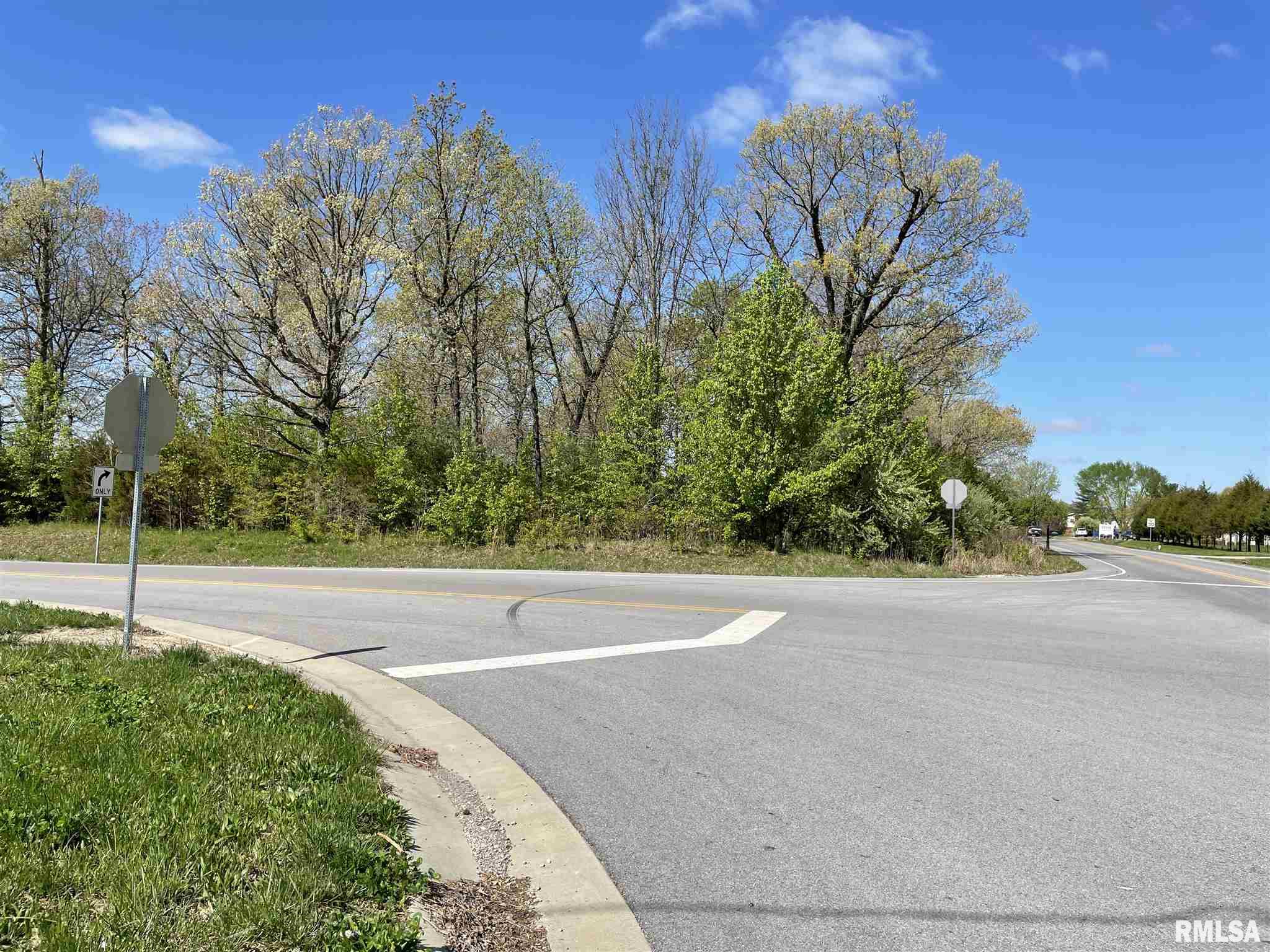 10311 Fleming Road, Carterville, Illinois image 1