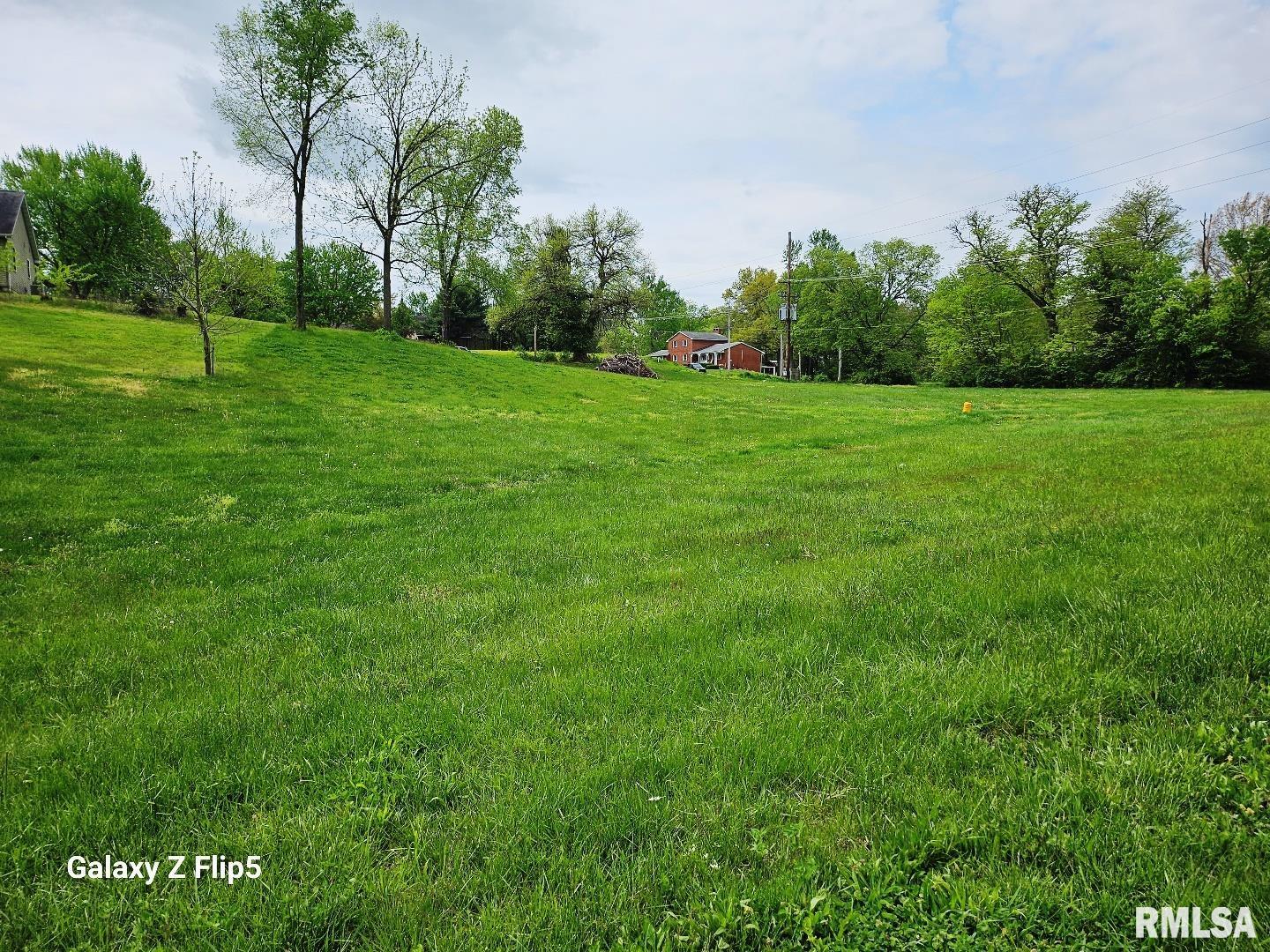 Lot 2-4 Ravine Drive, Carlinville, Illinois image 2