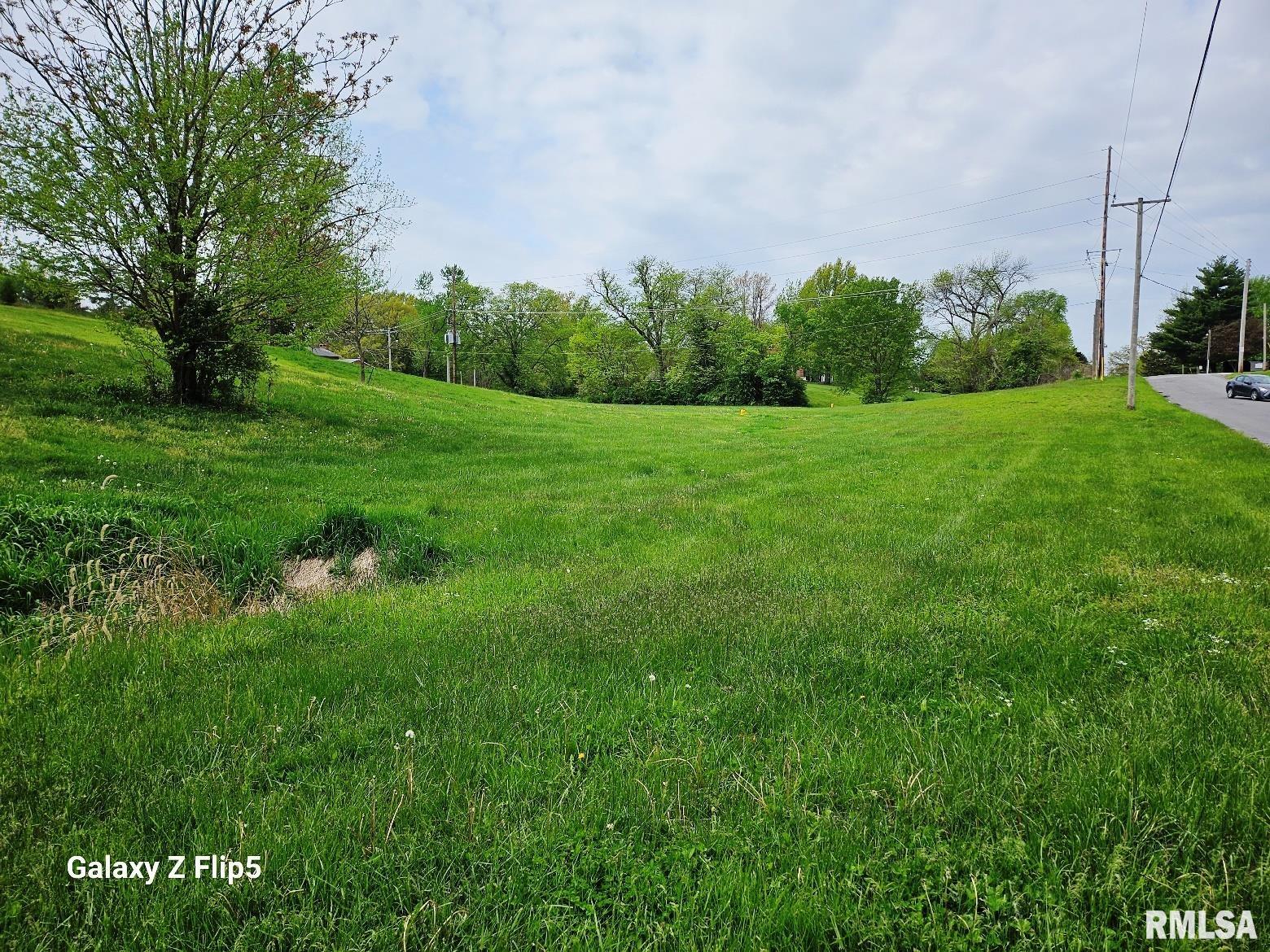 Lot 2-4 Ravine Drive, Carlinville, Illinois image 4