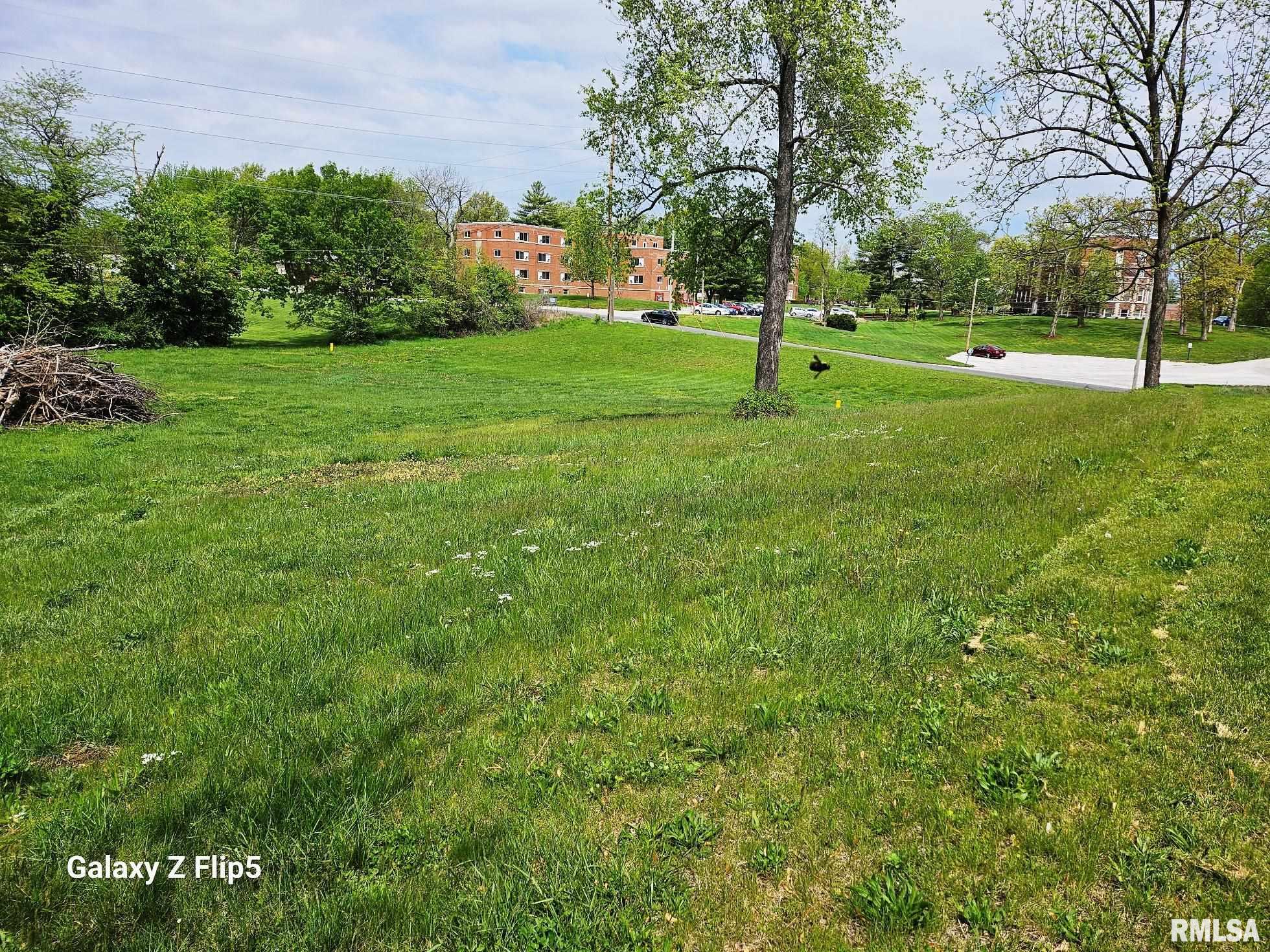 Lot 2-4 Ravine Drive, Carlinville, Illinois image 10