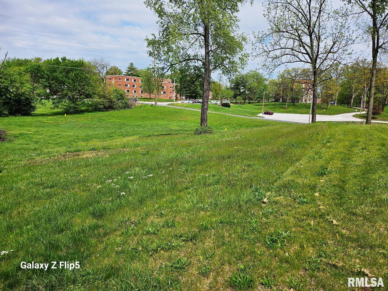 Lot 2-4 Ravine Drive, Carlinville, Illinois image 9