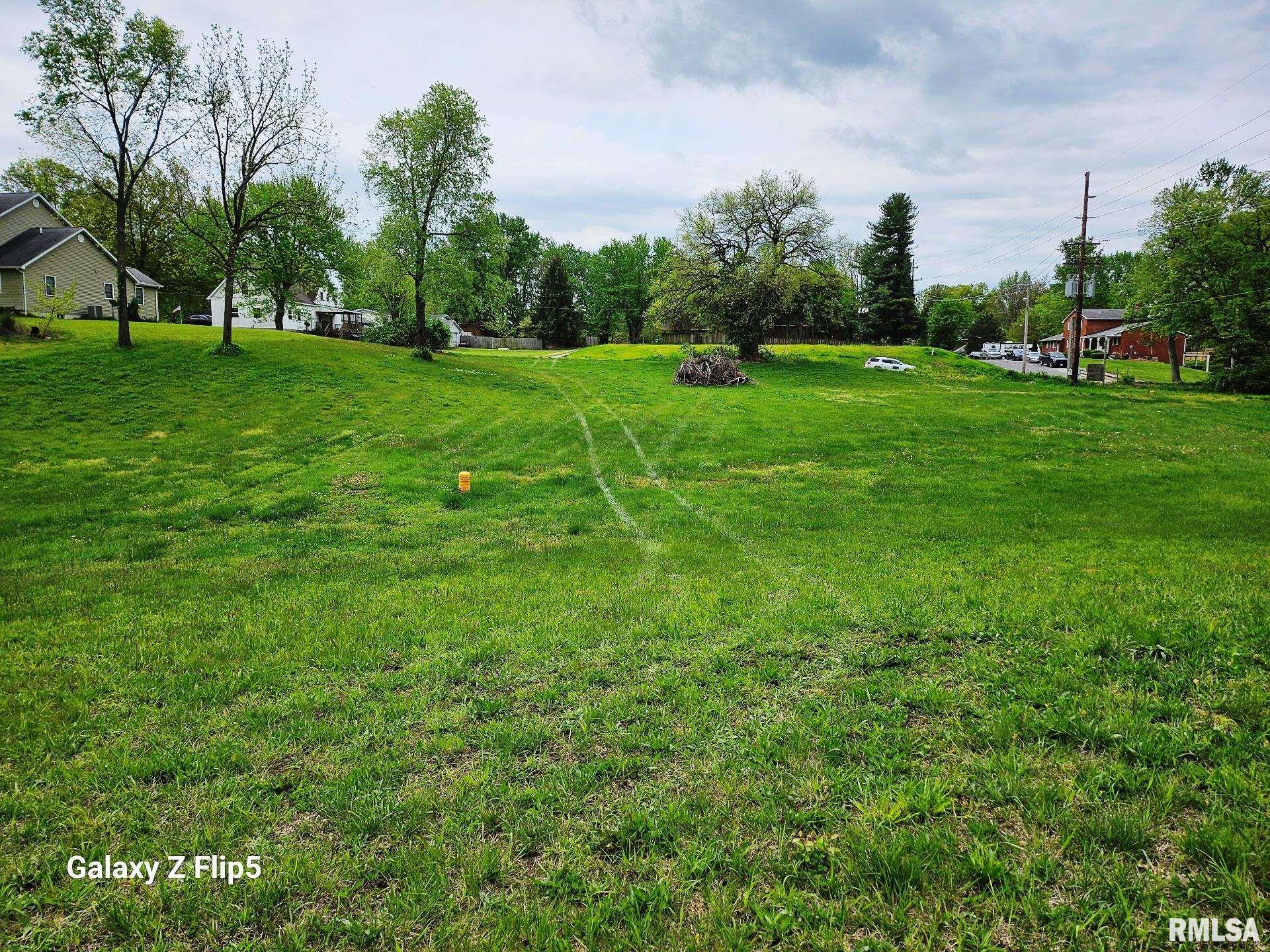 Lot 2-4 Ravine Drive, Carlinville, Illinois image 3