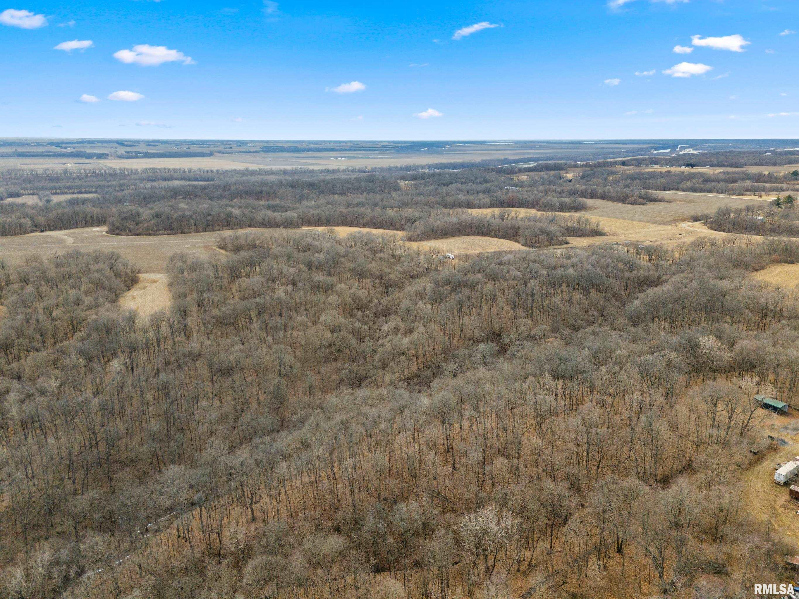 0000 Timber Road, Glasford, Illinois image 4