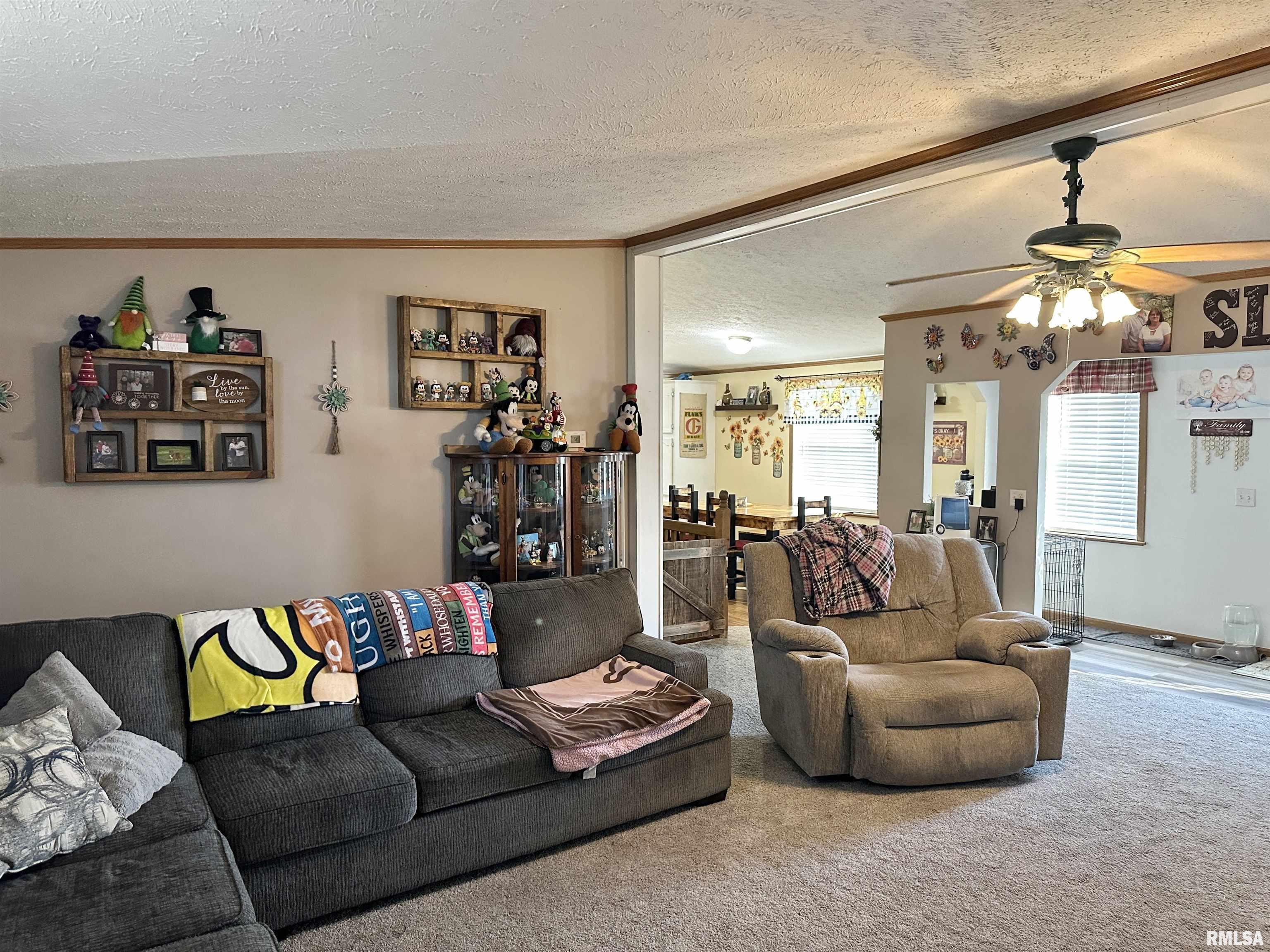 1219 Buchanan Road, Iuka, Illinois image 18