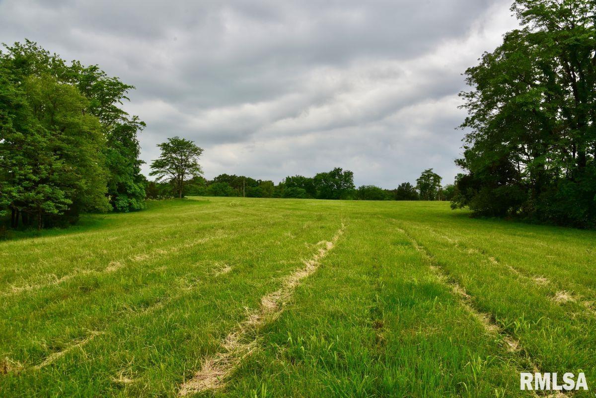 007 Battleford Road, Stonefort, Illinois image 11