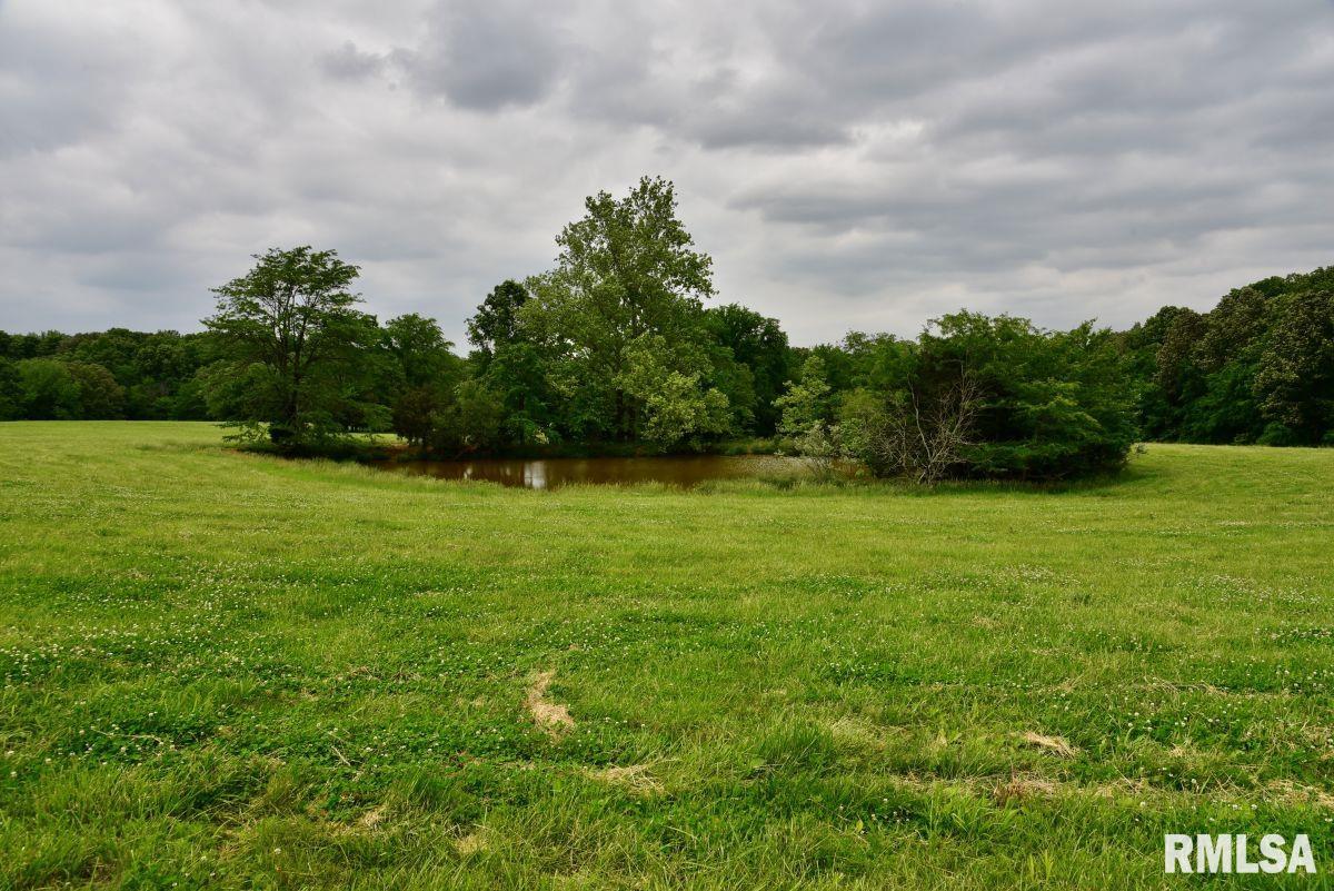 007 Battleford Road, Stonefort, Illinois image 14