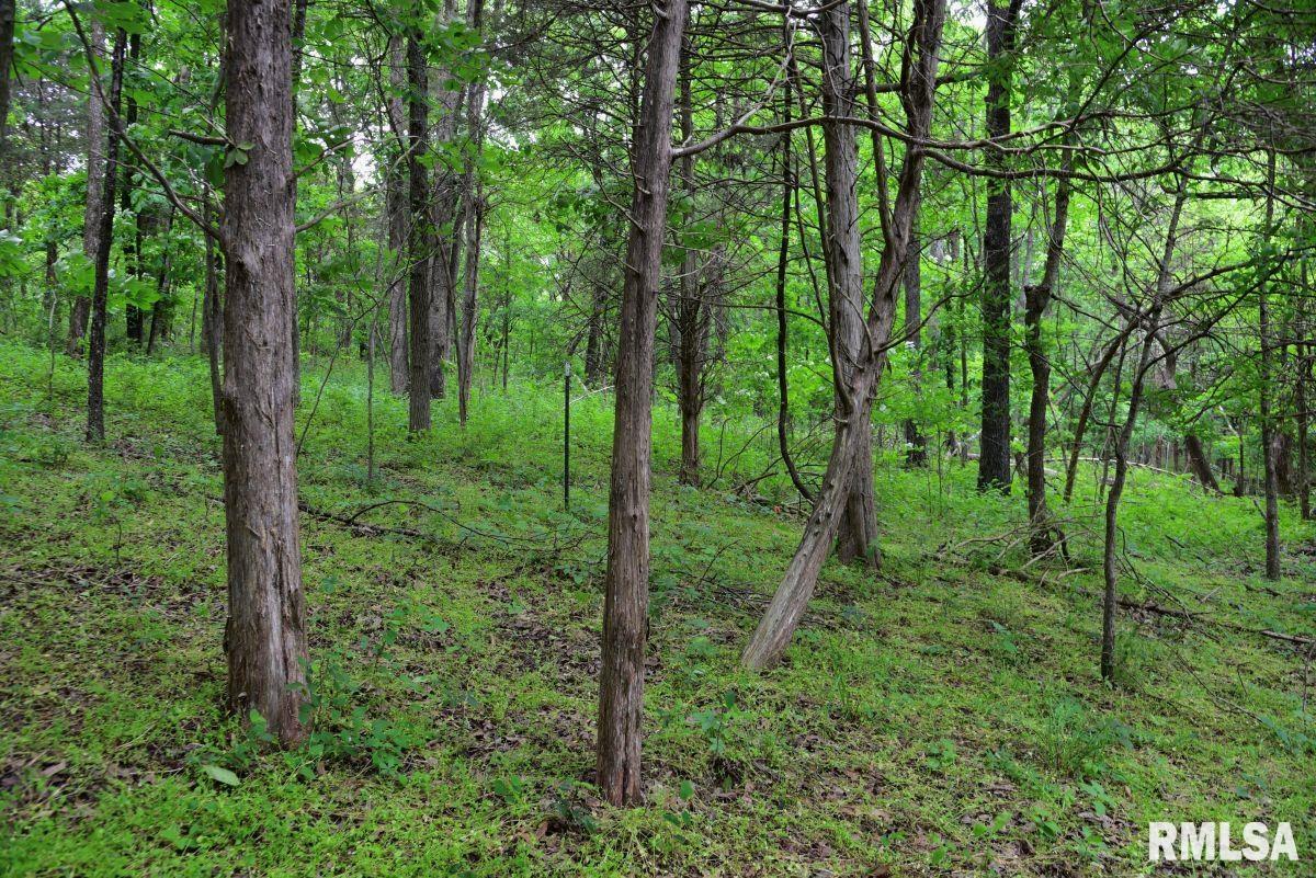 007 Battleford Road, Stonefort, Illinois image 19
