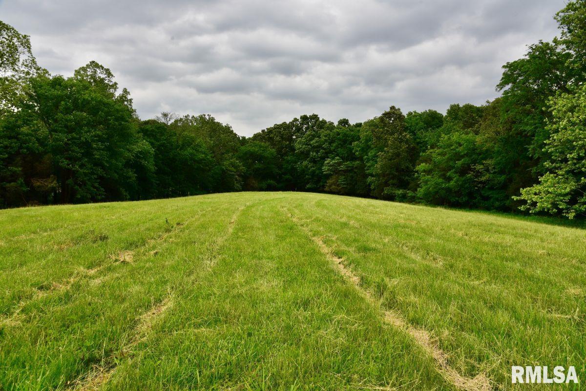 007 Battleford Road, Stonefort, Illinois image 10