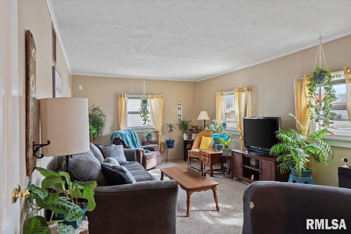 1017 W Iles Avenue, Springfield, Illinois image 4