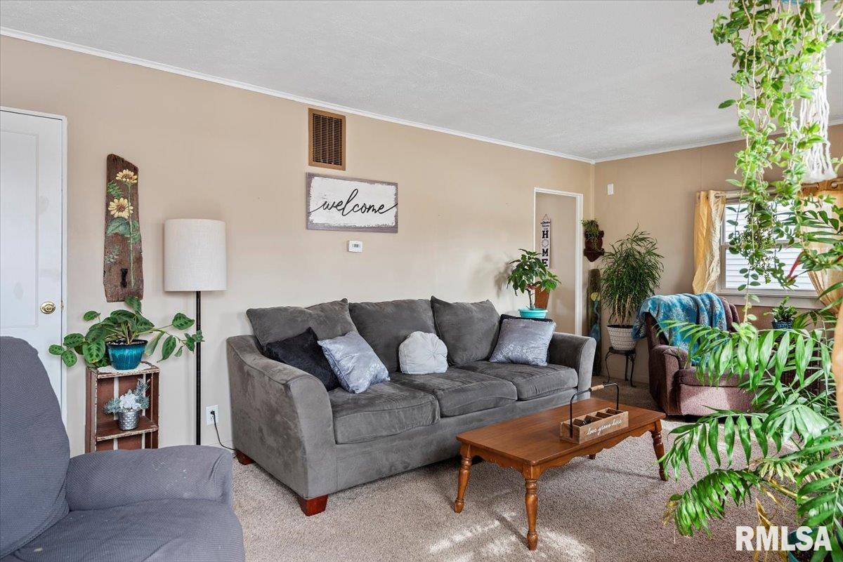 1017 W Iles Avenue, Springfield, Illinois image 3