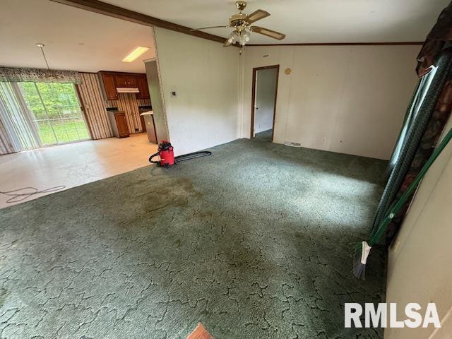 17750 Freeman Spur Road, Herrin, Illinois image 5
