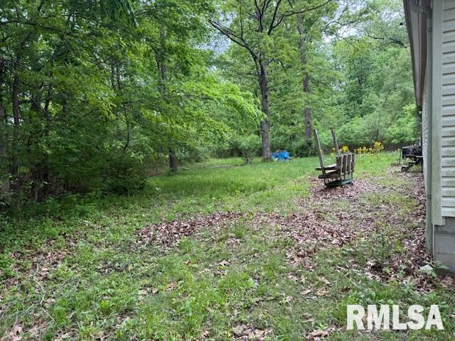 17750 Freeman Spur Road, Herrin, Illinois image 10