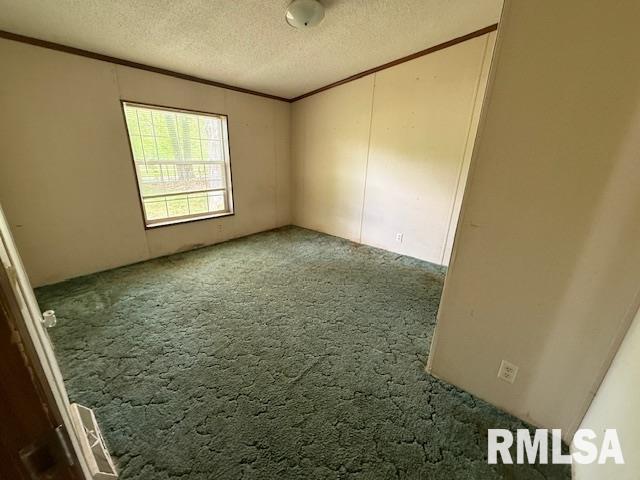 17750 Freeman Spur Road, Herrin, Illinois image 9