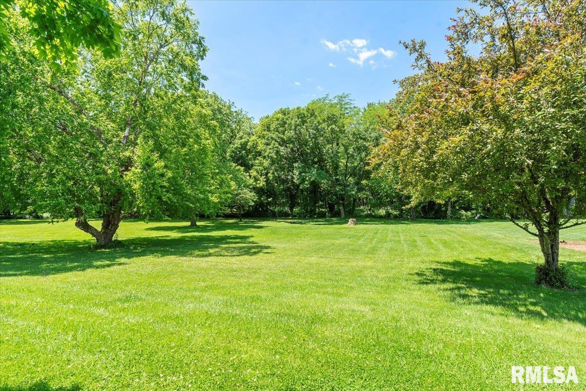 15 Belridge Drive, Williamsville, Illinois image 37