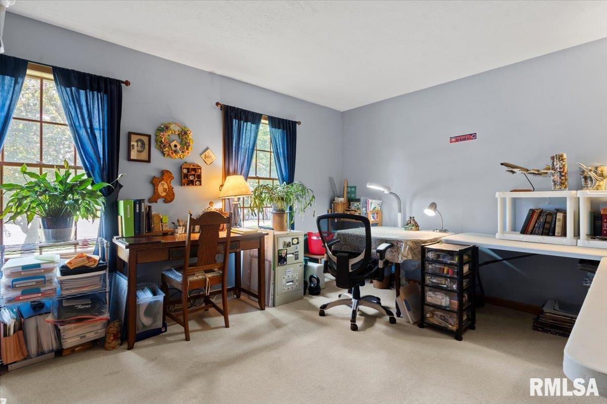15 Belridge Drive, Williamsville, Illinois image 23