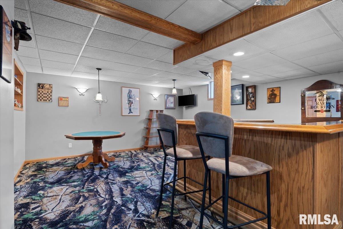 15 Belridge Drive, Williamsville, Illinois image 30