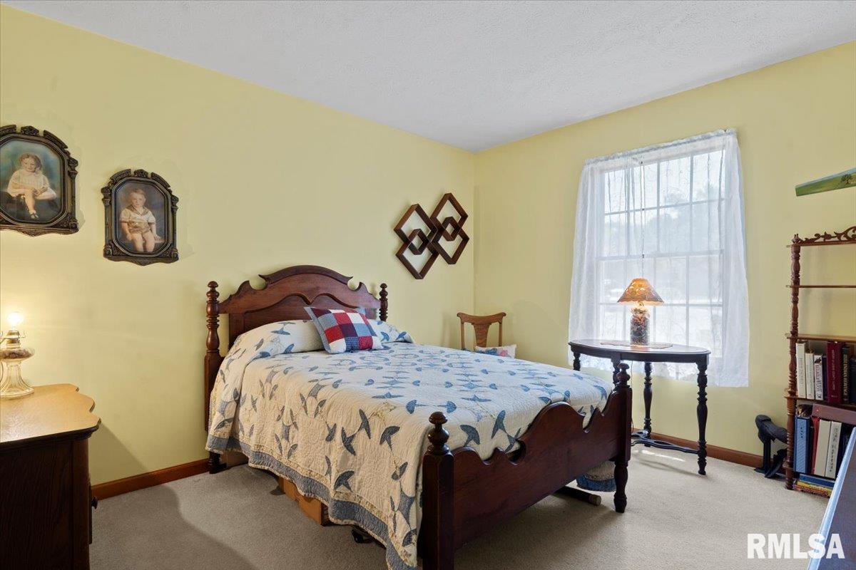 15 Belridge Drive, Williamsville, Illinois image 20