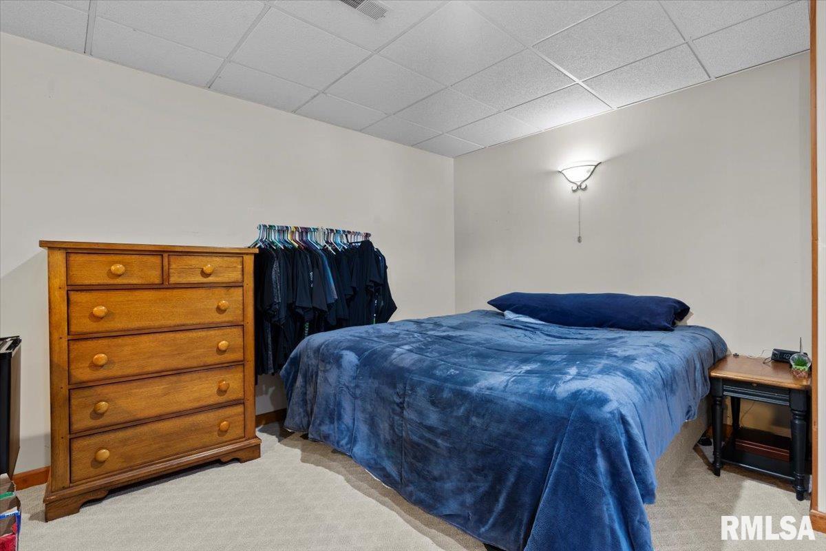 15 Belridge Drive, Williamsville, Illinois image 27