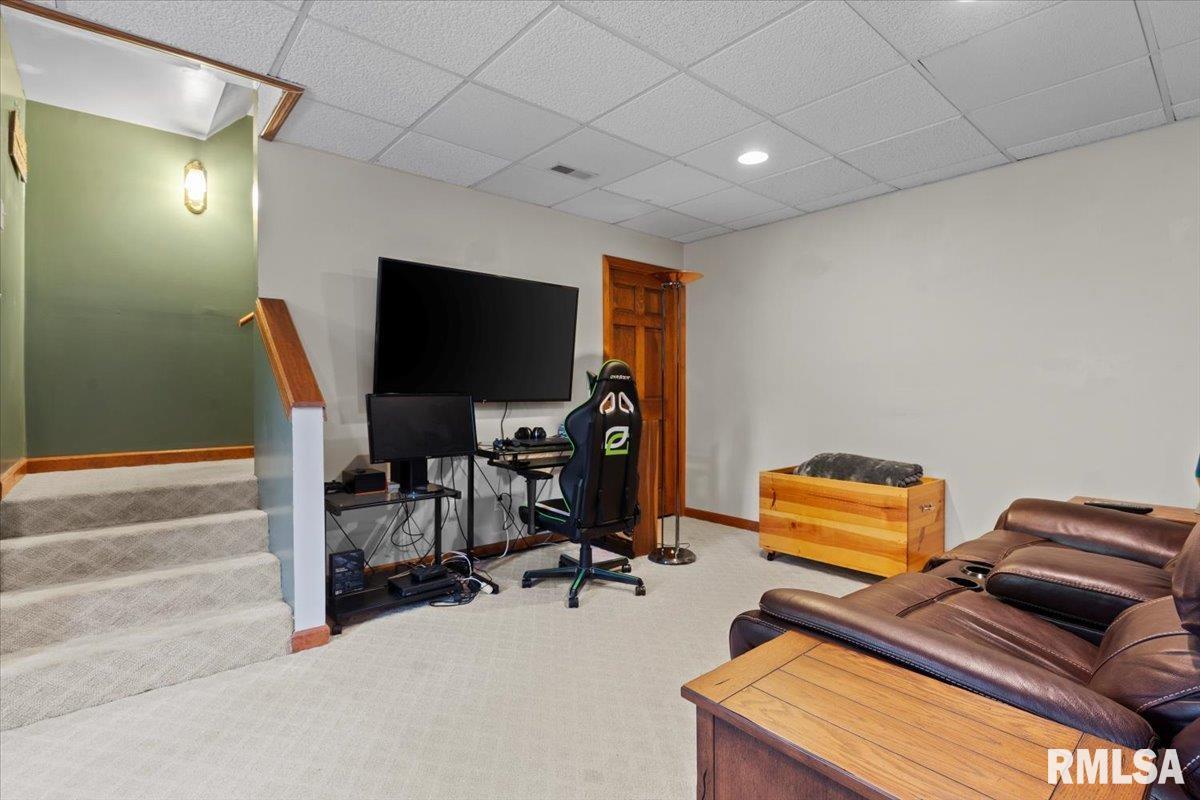 15 Belridge Drive, Williamsville, Illinois image 28