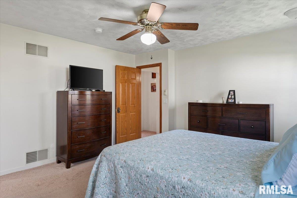 1301 4th Street, Pawnee, Illinois image 22