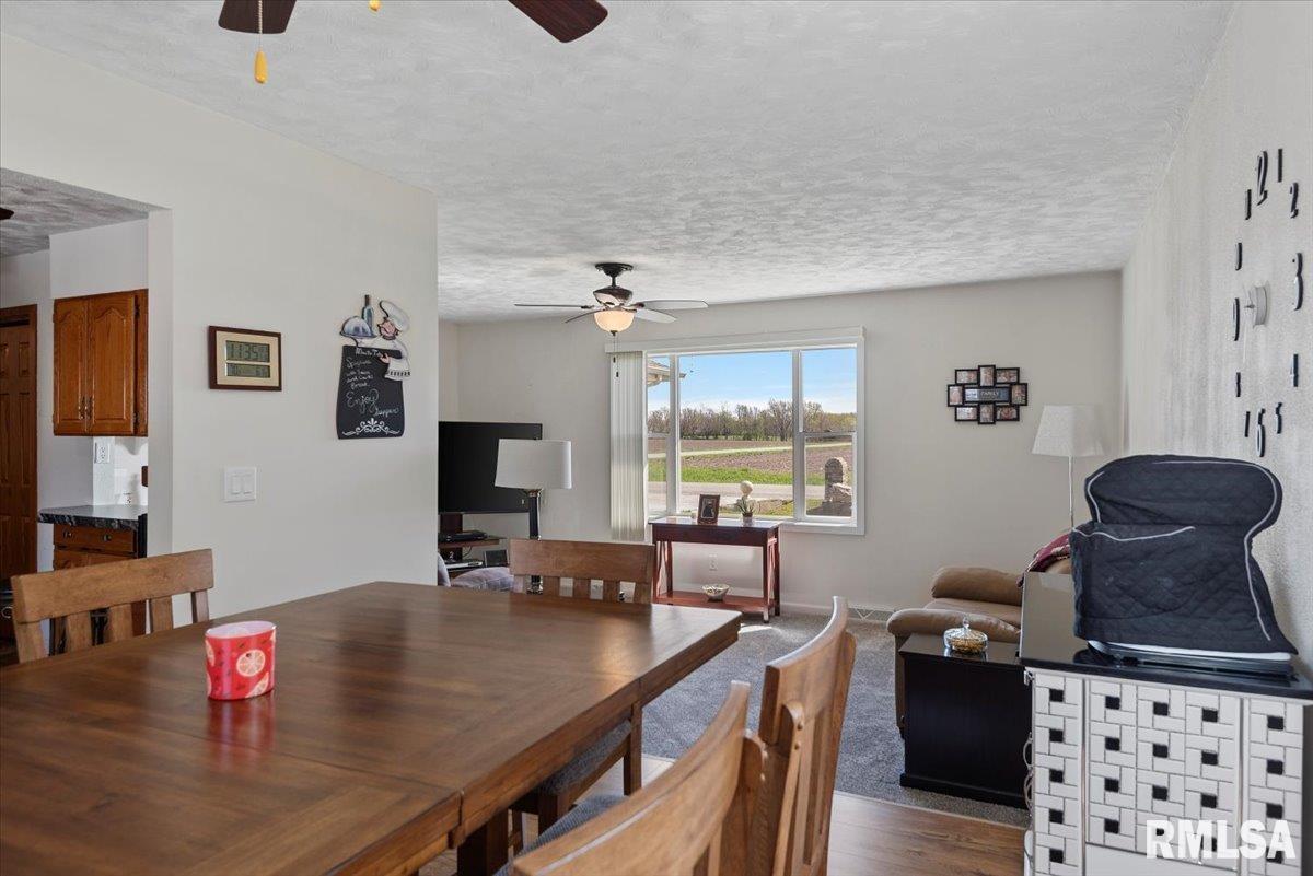 1301 4th Street, Pawnee, Illinois image 9