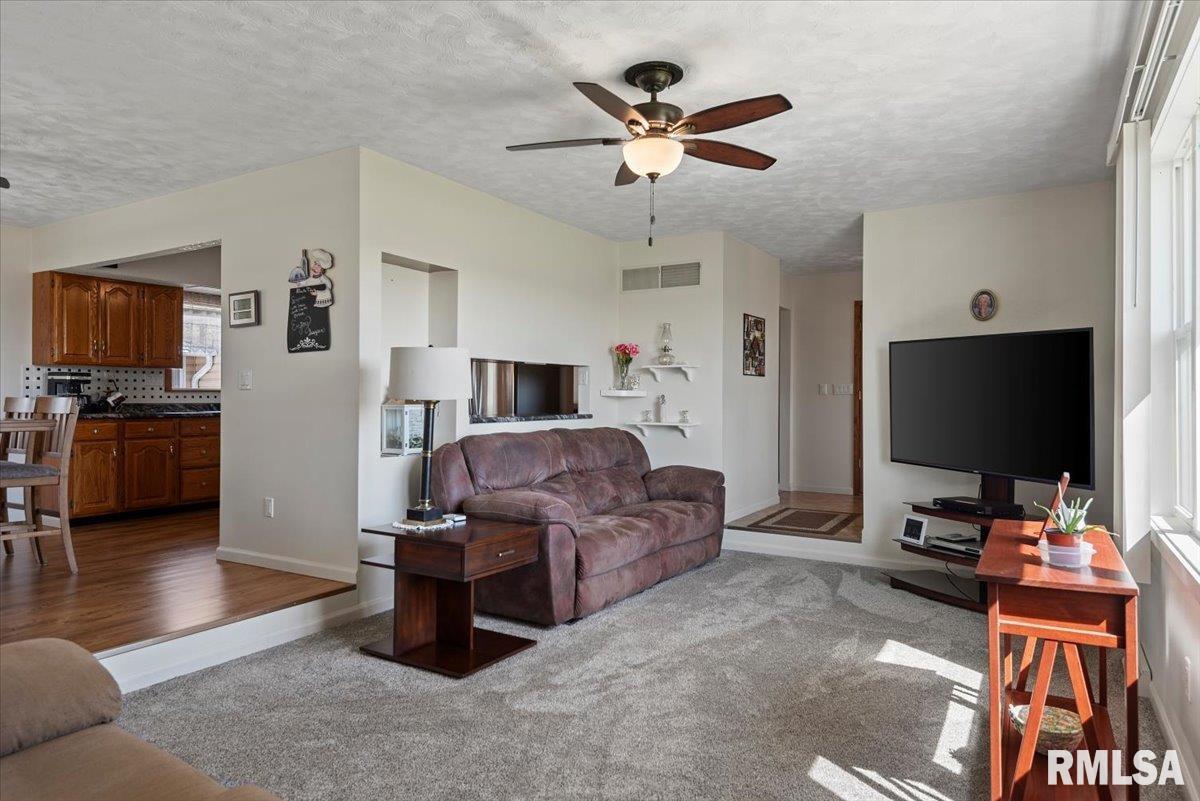 1301 4th Street, Pawnee, Illinois image 6