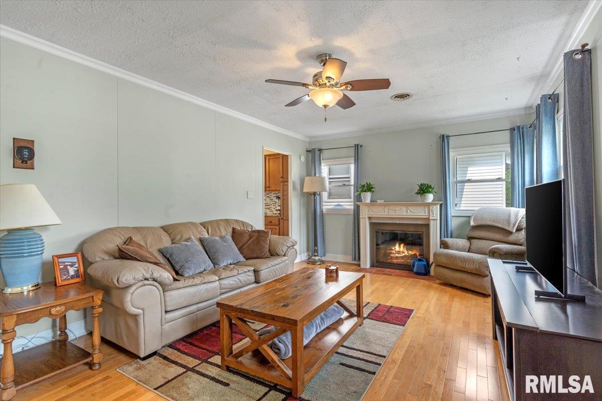 1619 W Cook Street, Springfield, Illinois image 4