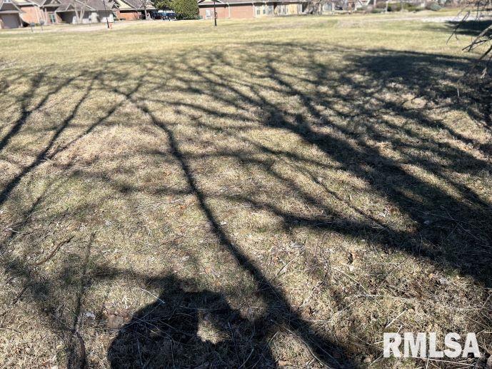 230 12th Avenue, Moline, Illinois image 5