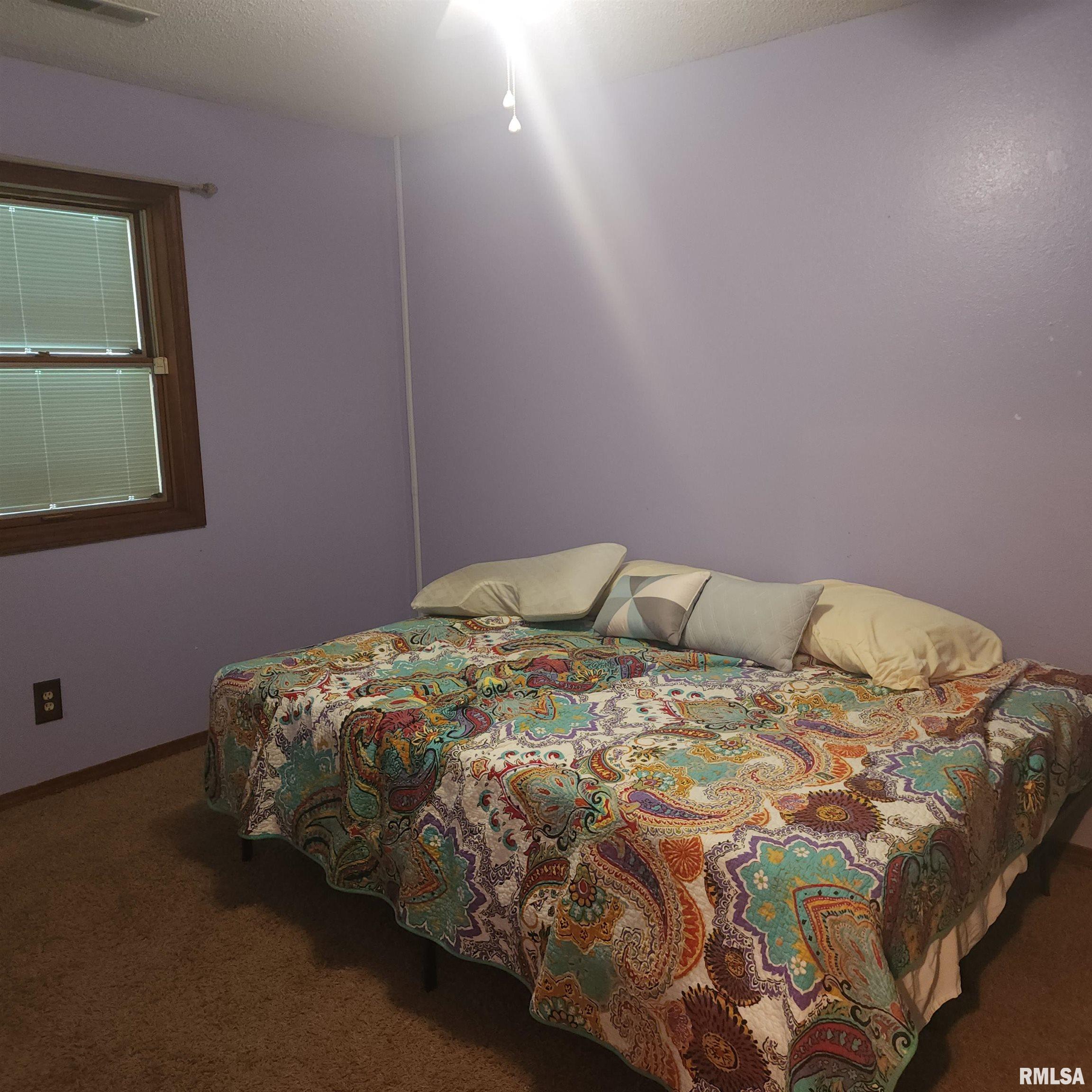 15267 N Woodlawn Lane, Woodlawn, Illinois image 48