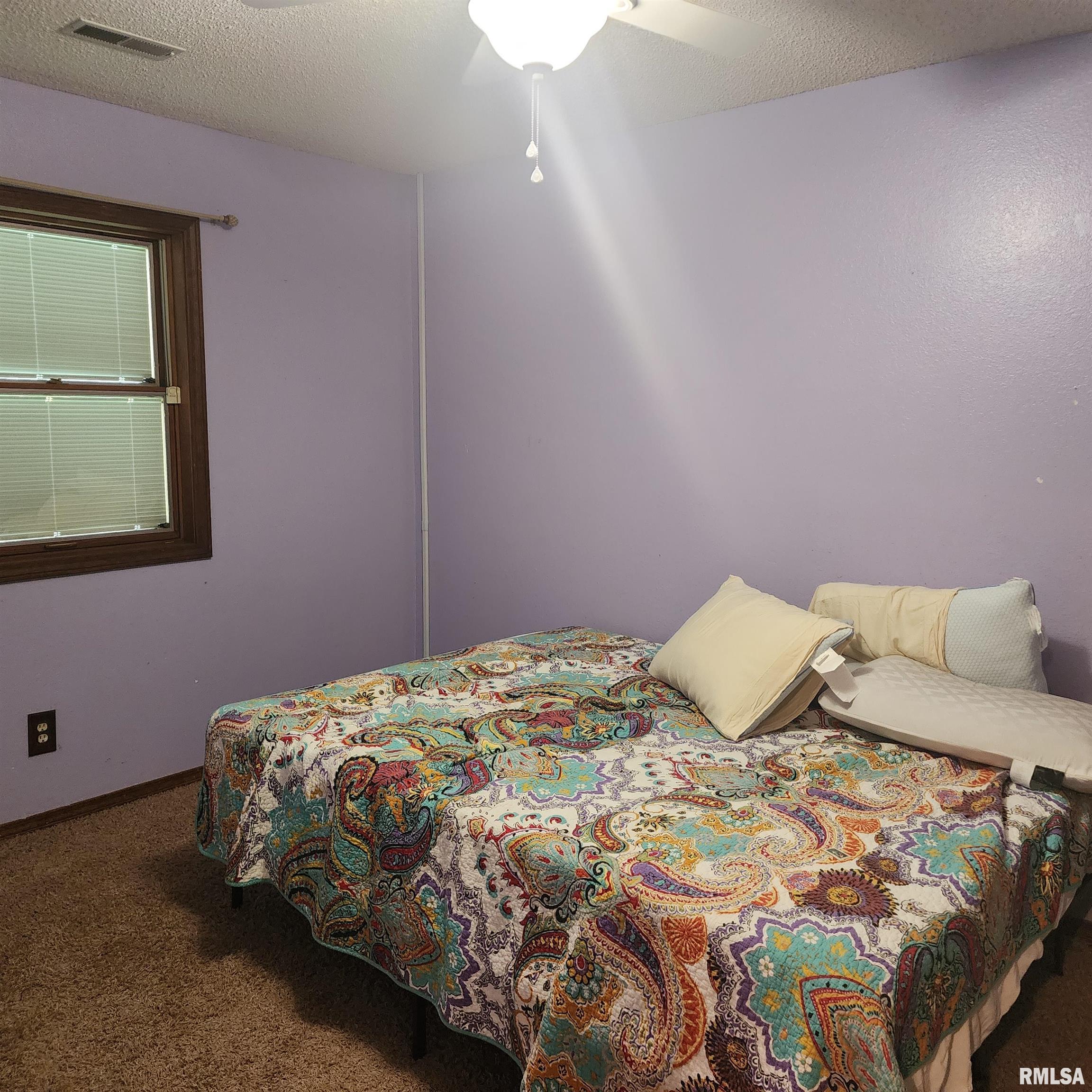 15267 N Woodlawn Lane, Woodlawn, Illinois image 16