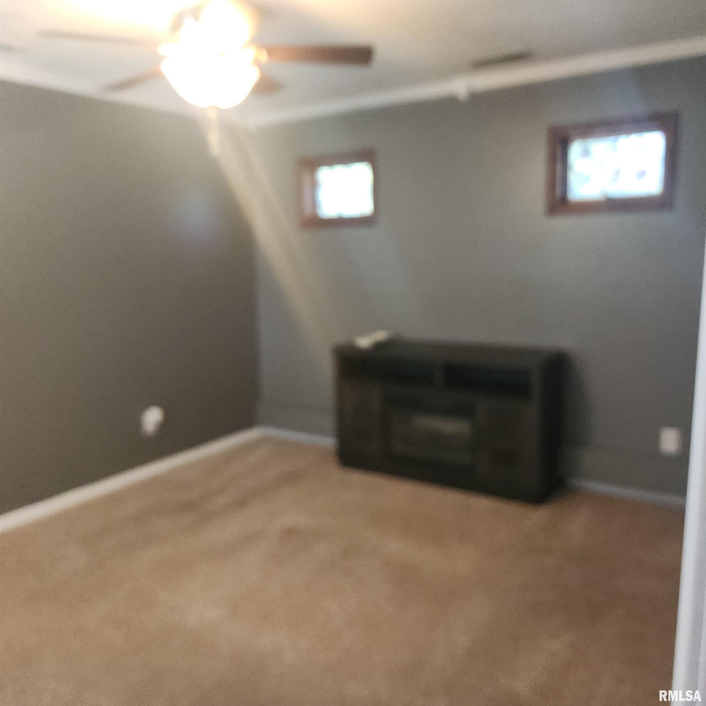 15267 N Woodlawn Lane, Woodlawn, Illinois image 45