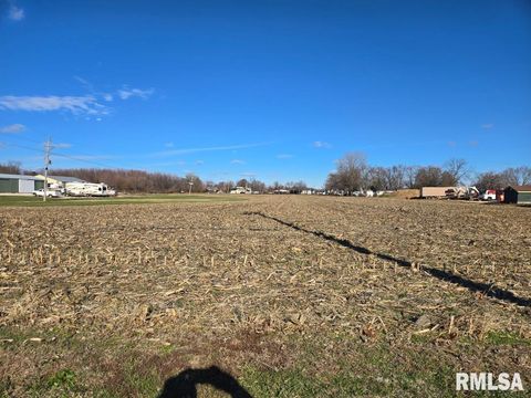 Vacant Land For Sale - 1600 E Walnut Street<br/> Fulton County, Canton, IL 61520