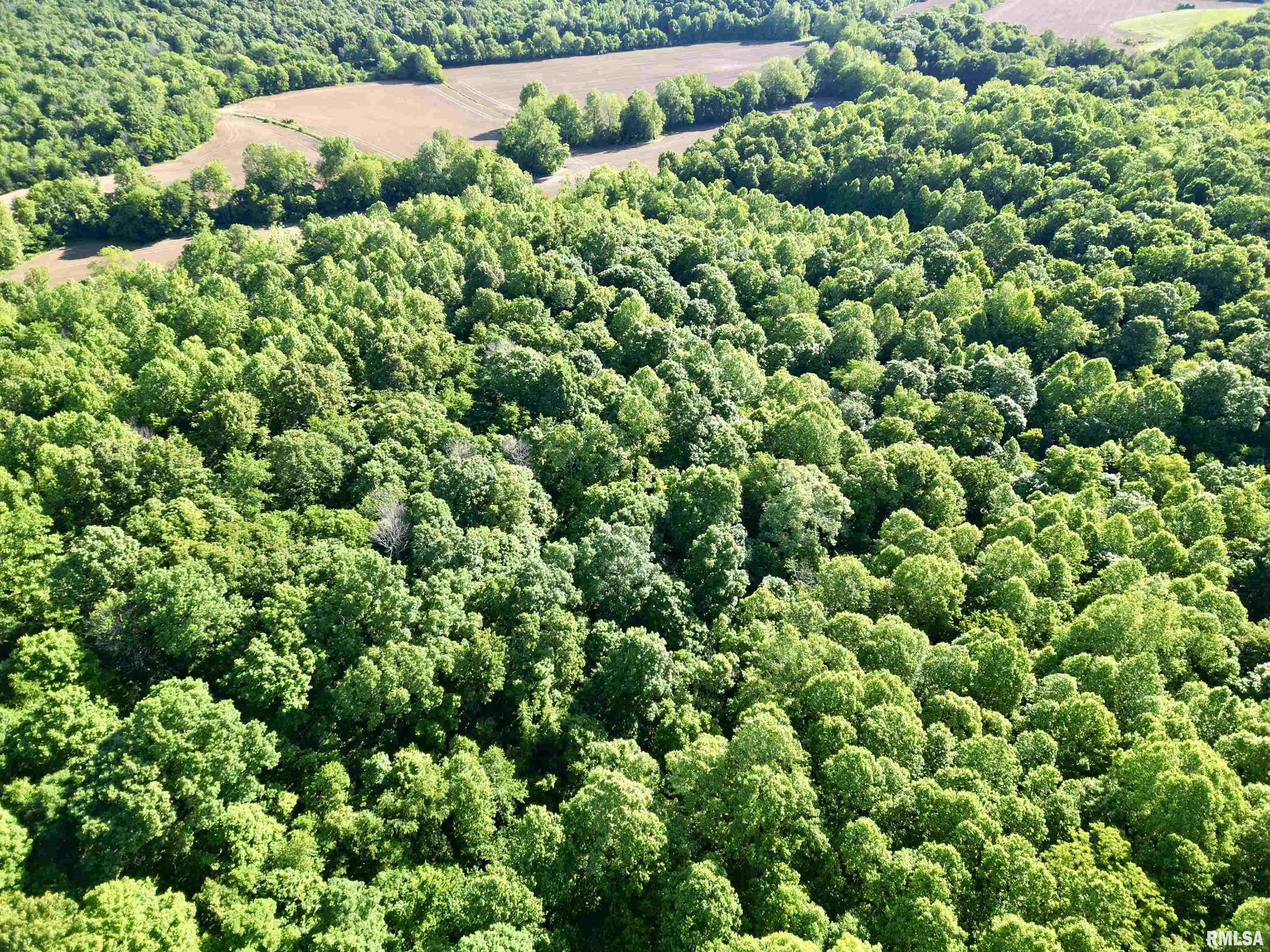 000 Yellow Springs Road, Elizabethtown, Illinois image 5