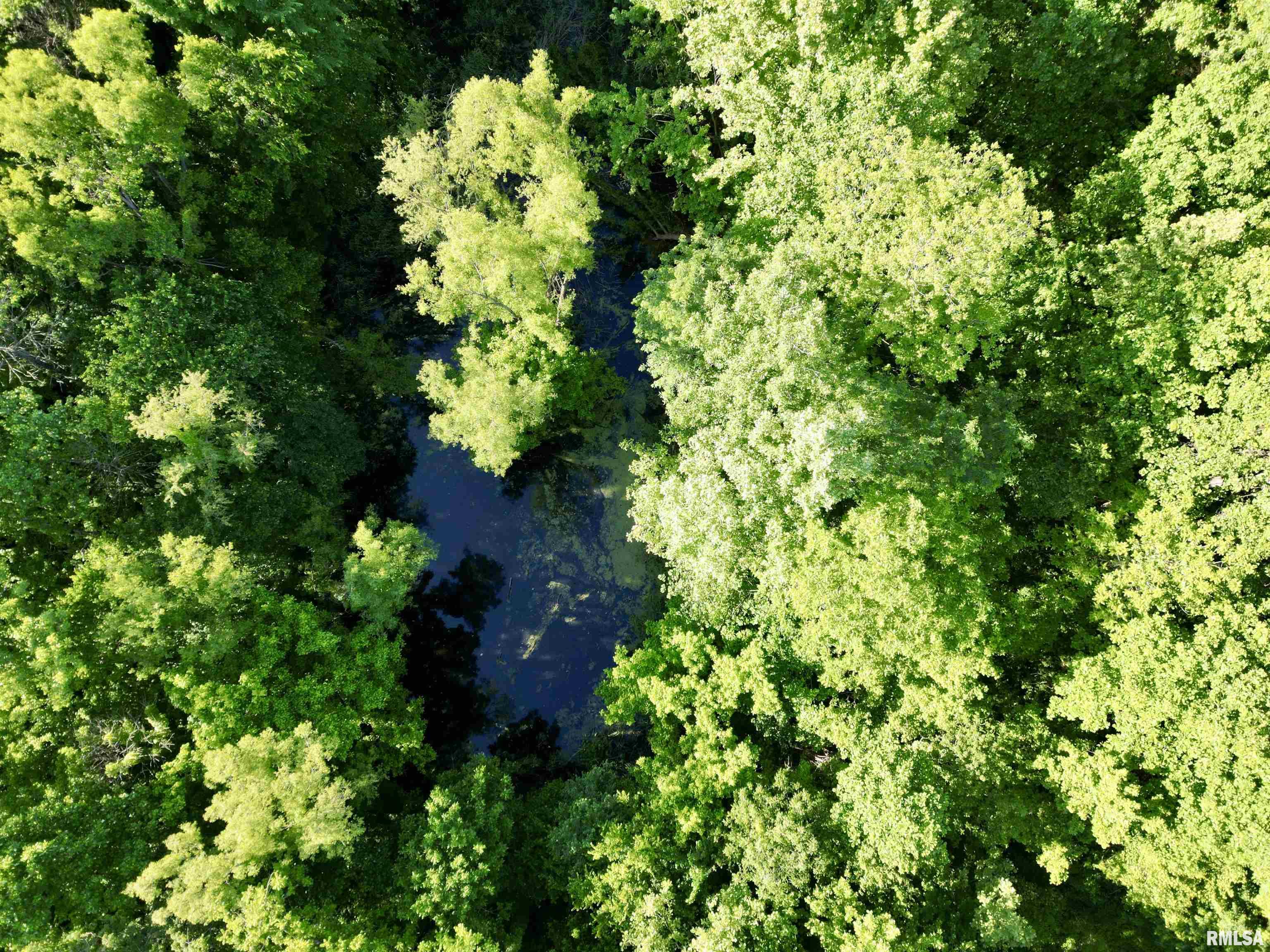 000 Yellow Springs Road, Elizabethtown, Illinois image 15